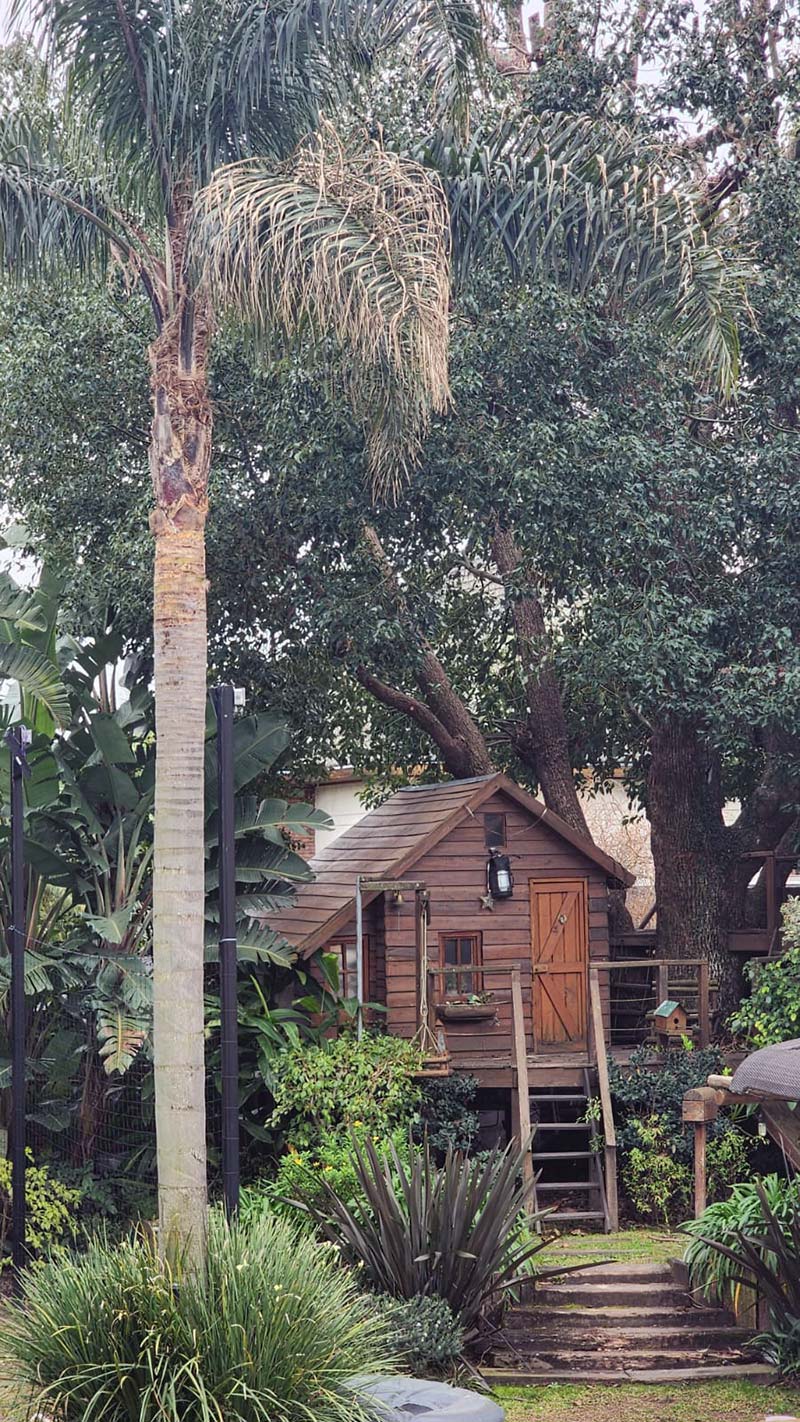 casa-arbol-1
