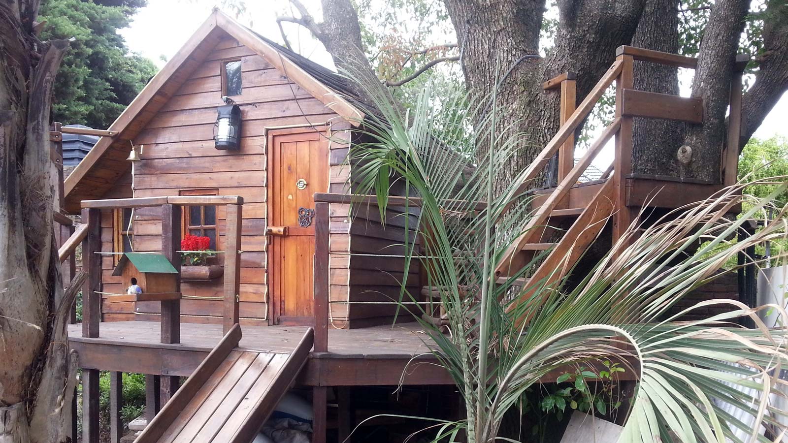 casa-arbol-4