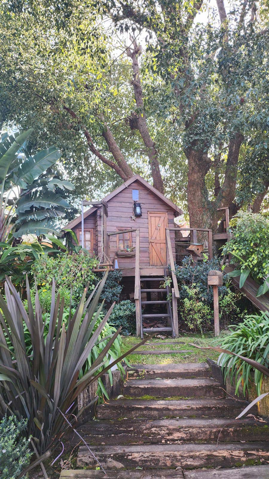 casa-arbol-5
